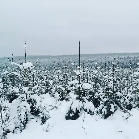 Le Refuge Ardennais Εξοχικό σπίτι