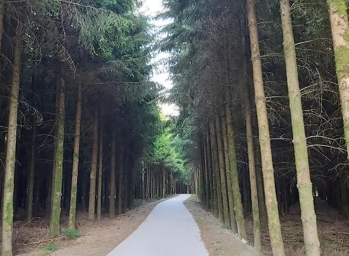 Le Refuge Ardennais Casa di campagna Libramont-Chevigny