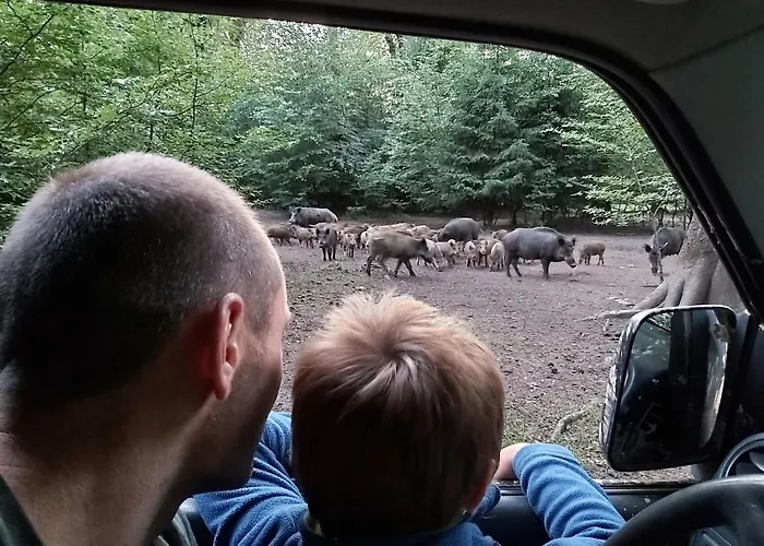 Le Refuge Ardennais Country house Libramont-Chevigny