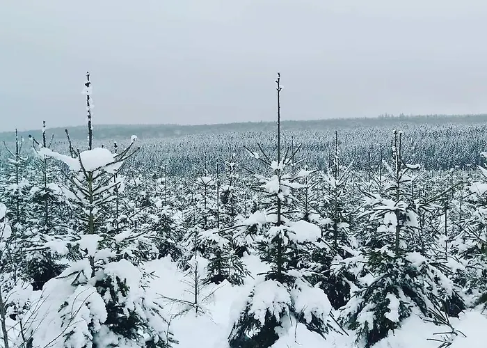 Le Refuge Ardennais Casa di campagna